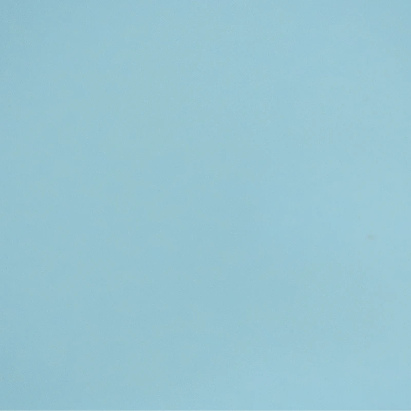 1009 LIGHT BLUE